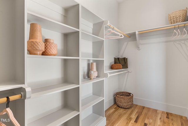 walk in closet with light hardwood / wood-style flooring