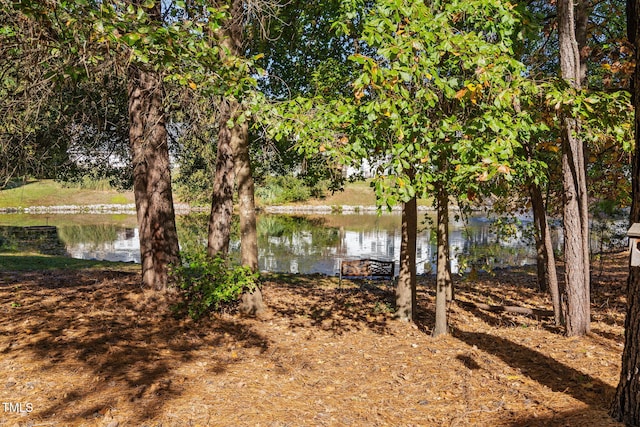 view of yard with a water view
