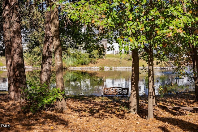 water view