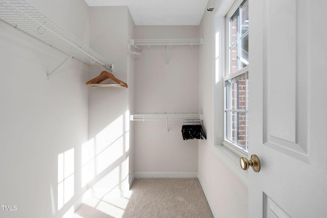 spacious closet featuring light carpet