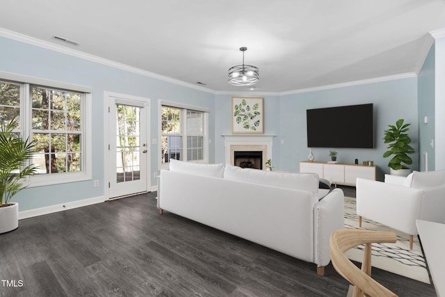 living room with dark wood-type flooring, a chandelier, and crown molding