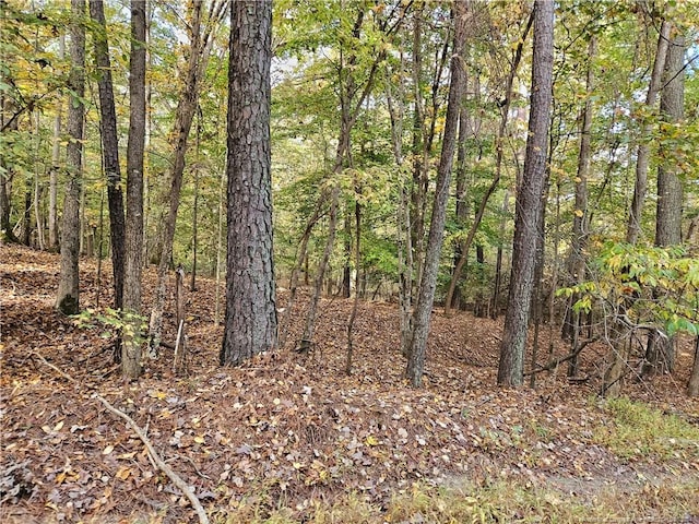 0 Sandy Creek Church Rd, Sanford, NC 27330 - photo 2