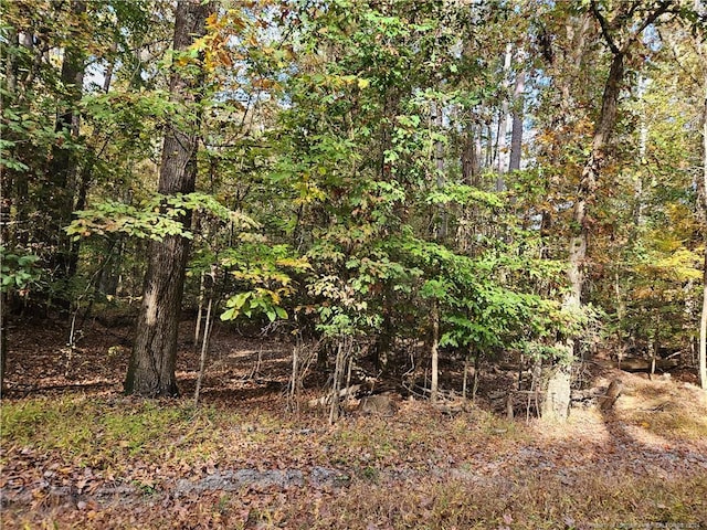 0 Sandy Creek Church Rd, Sanford, NC 27330 - photo 5