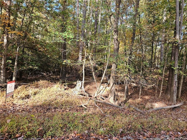 0 Sandy Creek Church Rd, Sanford, NC 27330 - photo 6