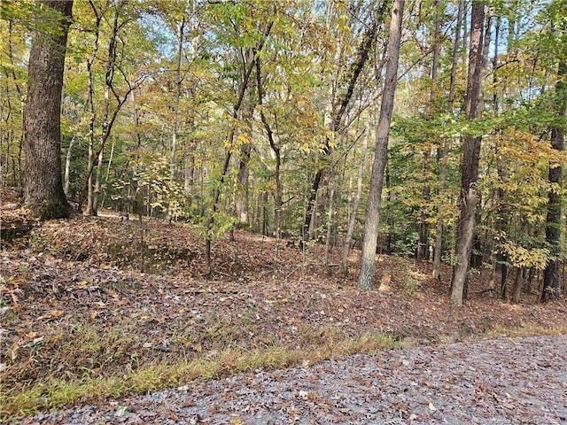 0 Sandy Creek Church Rd, Sanford, NC 27330 - photo 7