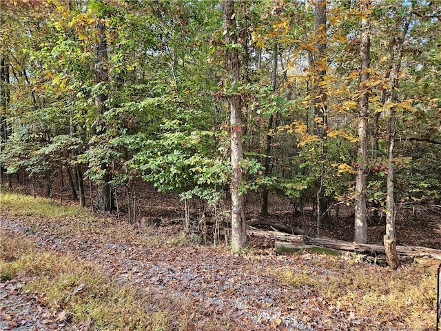 0 Sandy Creek Church Rd, Sanford, NC 27330 - photo 9