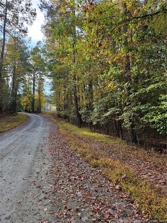 0 Sandy Creek Church Rd, Sanford, NC 27330 - photo 8