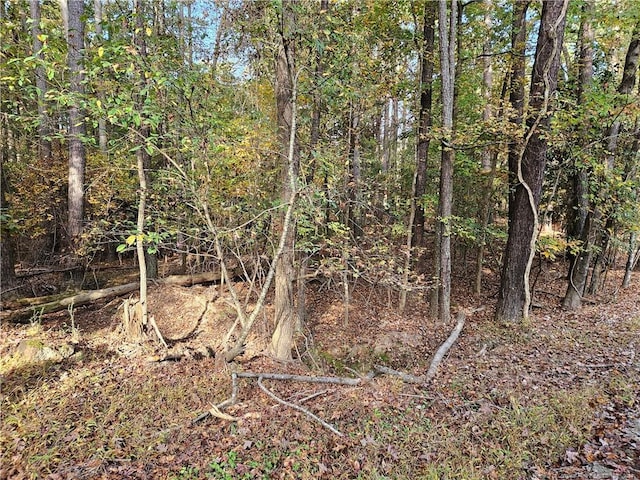 0 Sandy Creek Church Rd, Sanford, NC 27330 - photo 12