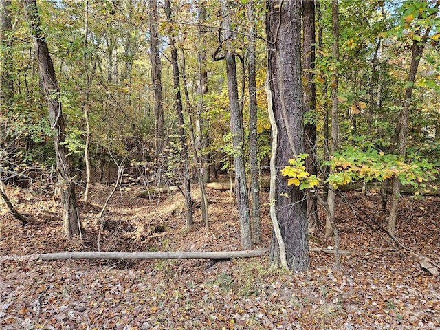 0 Sandy Creek Church Rd, Sanford, NC 27330 - photo 13
