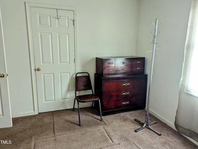 living area with light carpet