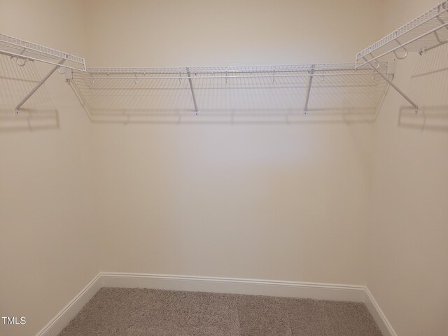 3612 Tarmac Rd Unit Ep 127, Wilson, NC 27896 - walk in closet with carpet flooring