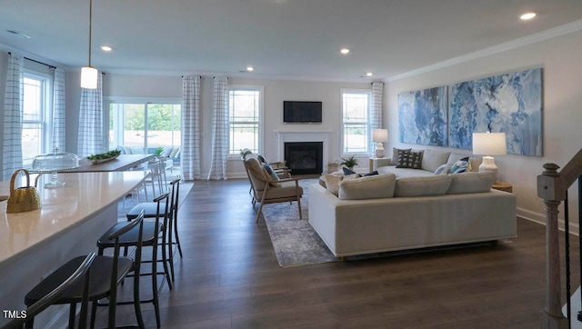 living room featuring crown molding, a wealth of natural light, and dark hardwood / wood-style floors