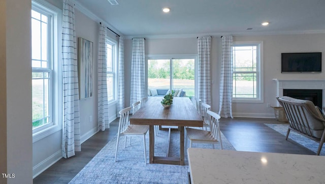 dining room with ornamental molding, dark hardwood / wood-style floors, and a wealth of natural light