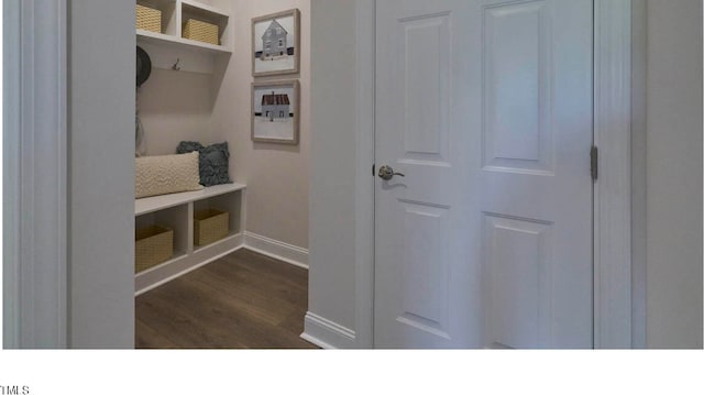 mudroom featuring dark wood-type flooring