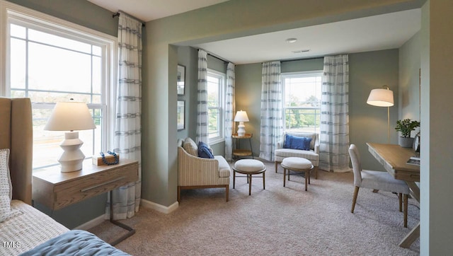 living area featuring a wealth of natural light and carpet floors