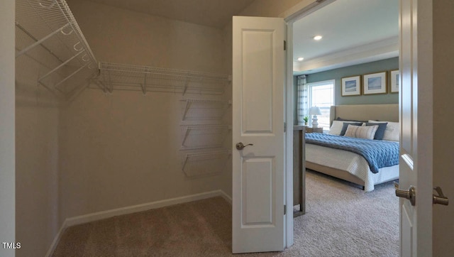 walk in closet featuring carpet floors