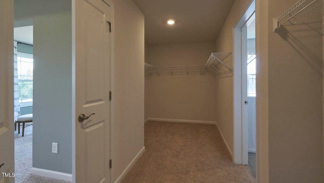 spacious closet with light colored carpet