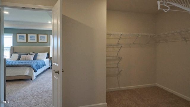 walk in closet featuring carpet flooring