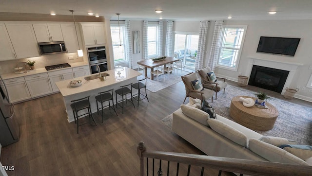 living room with crown molding and dark hardwood / wood-style floors