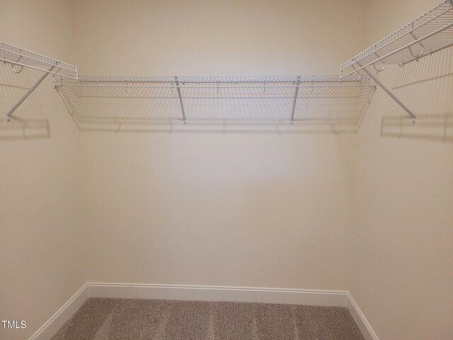 3614 Tarmac Rd Unit Ep 128, Wilson, NC 27896 - spacious closet featuring carpet