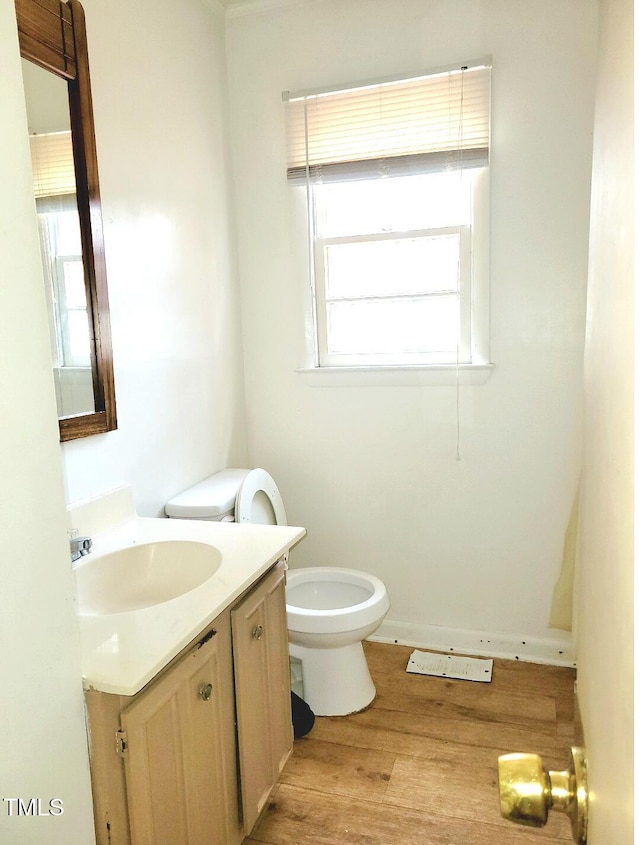 bathroom featuring toilet, vanity, and wood-type flooring