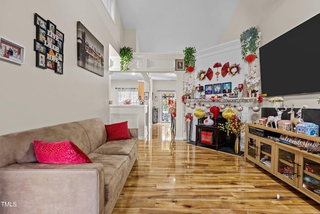 living room featuring a towering ceiling and hardwood / wood-style flooring