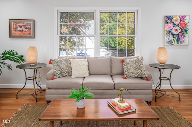 living room featuring hardwood / wood-style floors