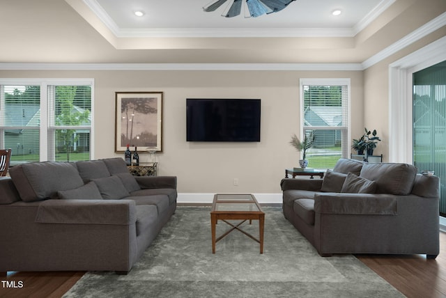 living room featuring ornamental molding, a raised ceiling, hardwood / wood-style flooring, and ceiling fan