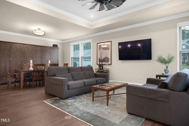 living room with ornamental molding, hardwood / wood-style floors, a raised ceiling, and ceiling fan