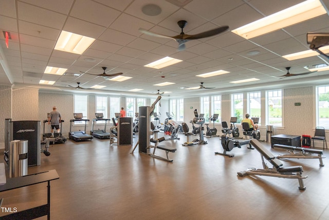 exercise room featuring a wealth of natural light and a paneled ceiling