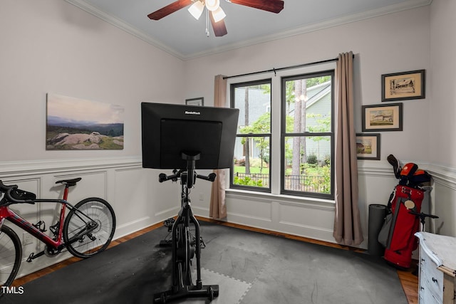 exercise room featuring crown molding, light hardwood / wood-style floors, and ceiling fan