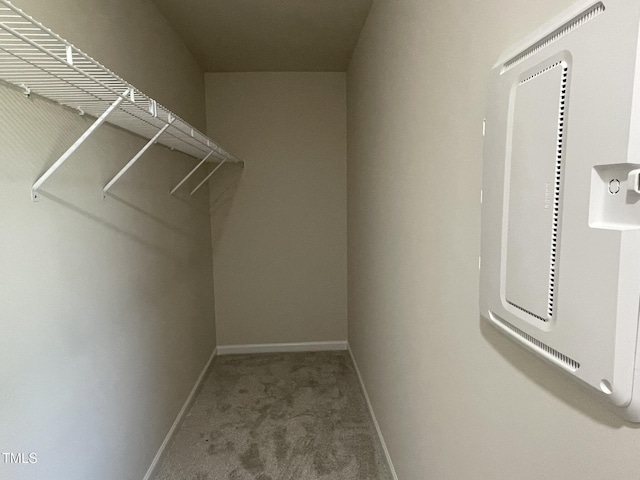 108 Pate Landing Dr, Selma, NC 27576 - walk in closet with carpet floors