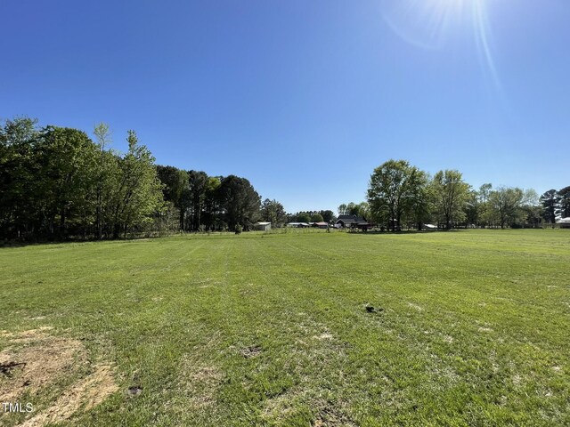 108 Pate Landing Dr, Selma, NC 27576 - view of yard