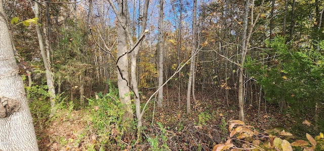 Listing photo 3 for LOT1 High Rock Rd, Efland NC 27243