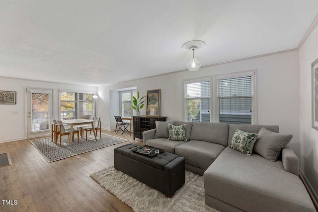 living room featuring light wood-type flooring and crown molding