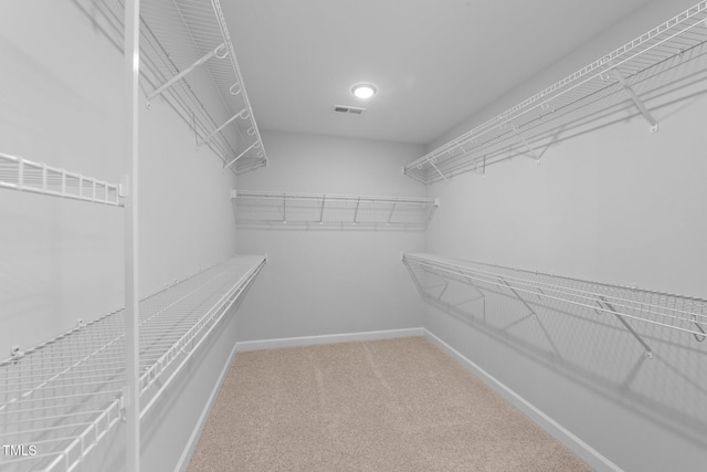 walk in closet featuring carpet floors