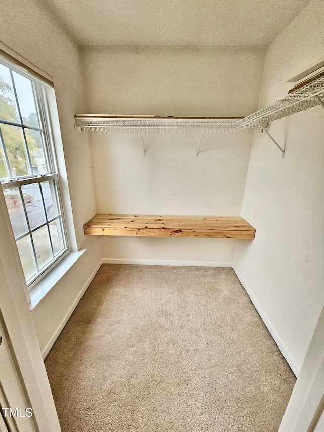 walk in closet featuring carpet floors and lofted ceiling