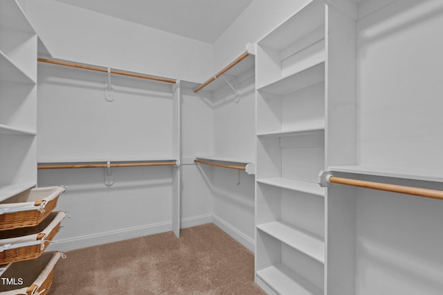 walk in closet with carpet