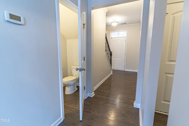 hallway featuring dark hardwood / wood-style flooring and crown molding