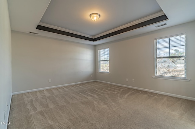 carpeted spare room with a raised ceiling and crown molding