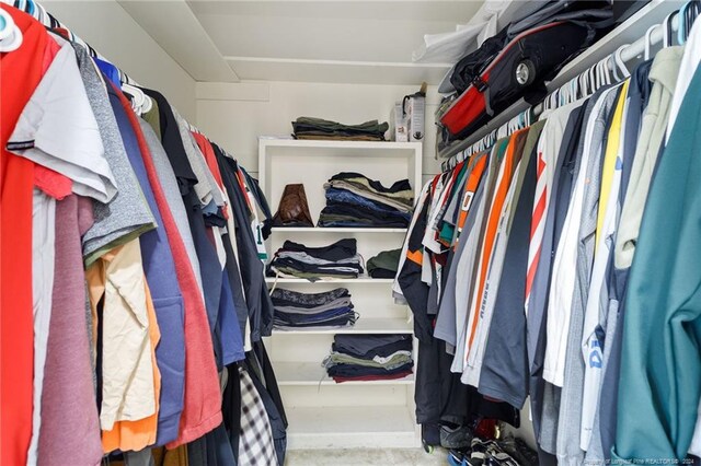 view of spacious closet