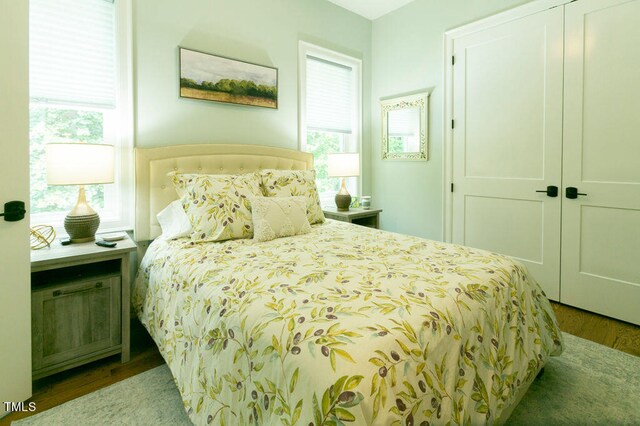 bedroom with a closet, light hardwood / wood-style flooring, and multiple windows