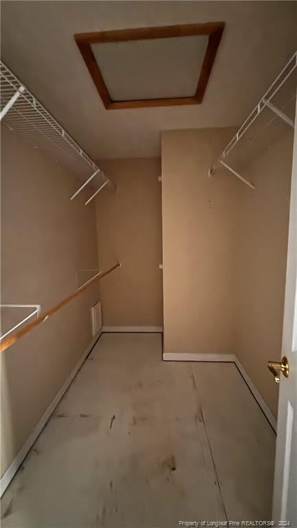 view of spacious closet