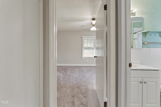 2494 Joel Johnson Rd, Lillington, NC 27546 - corridor featuring carpet flooring, a textured ceiling, and baseboards