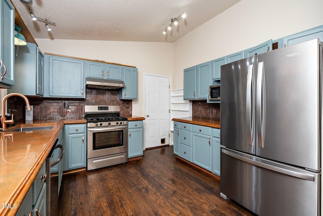 kitchen featuring wood counters, stainless steel appliances, blue cabinetry, and sink