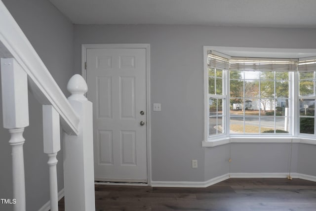 entrance foyer featuring dark hardwood / wood-style flooring