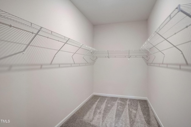 walk in closet with carpet floors