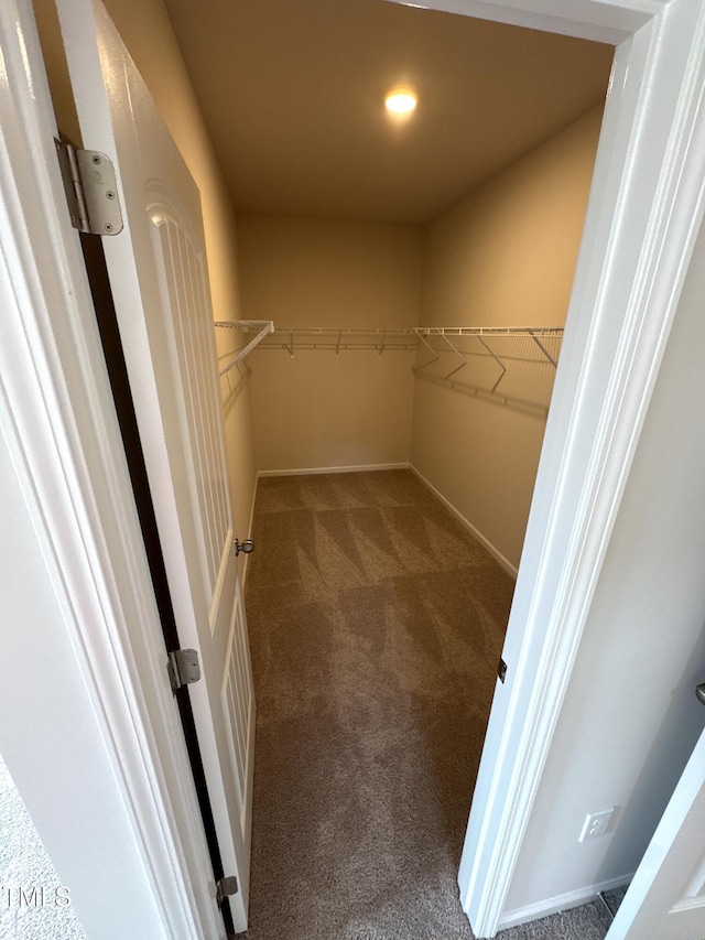 walk in closet with carpet flooring