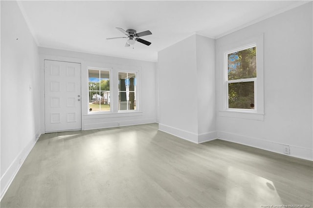 spare room with ceiling fan, light hardwood / wood-style flooring, and plenty of natural light