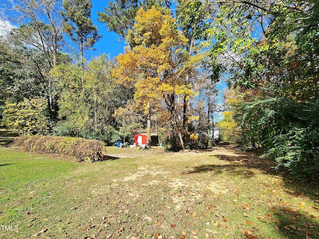 view of yard featuring a storage shed